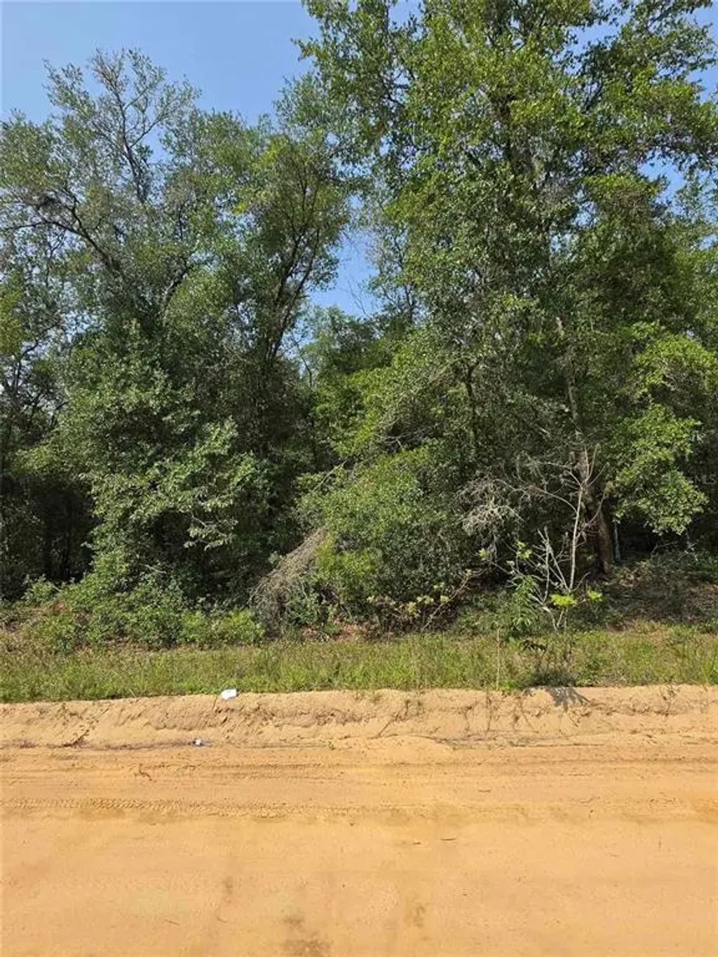 Sherman Drive Circle, INTERLACHEN