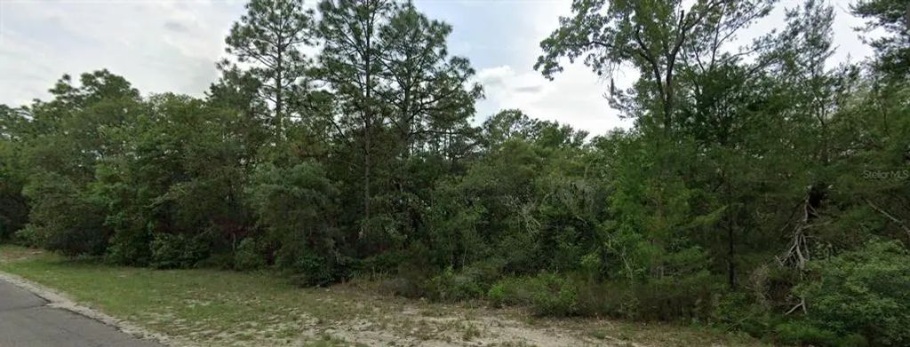 Sw 151 Place, DUNNELLON
