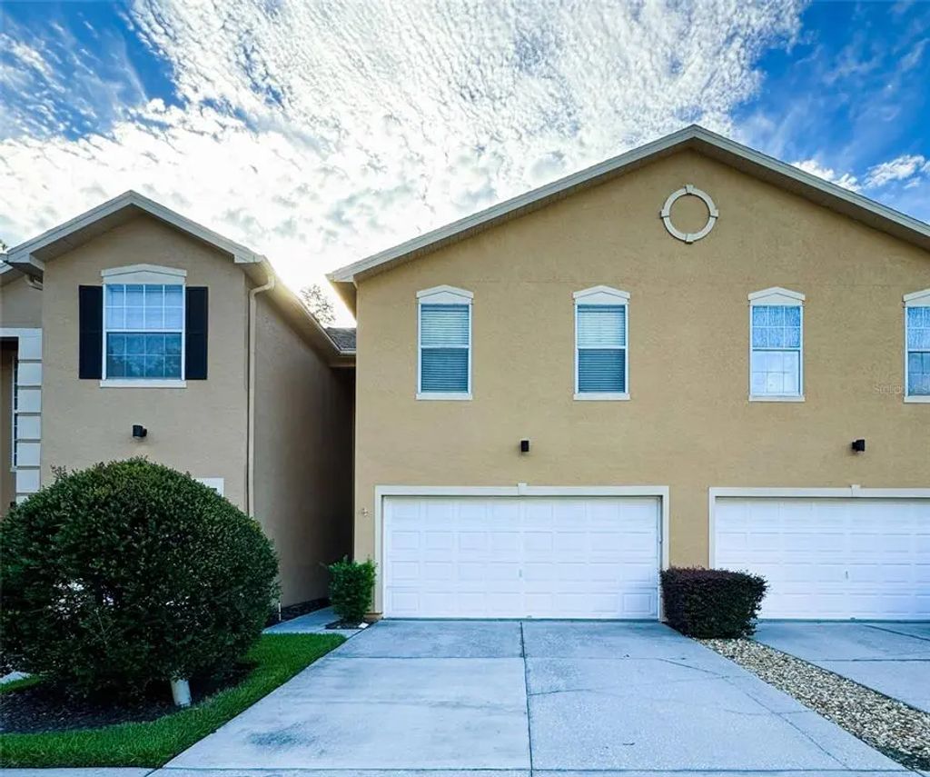 16305 Fairford Palms Court, TAMPA