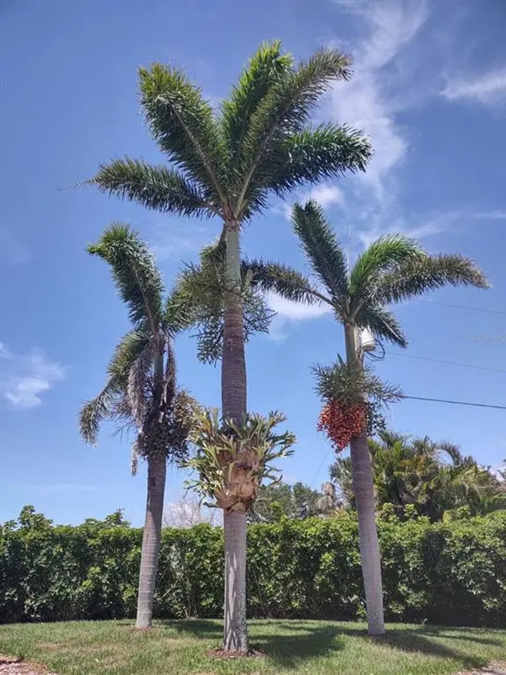 2 of 8 - 17274 Asmara Court, PUNTA GORDA, FL