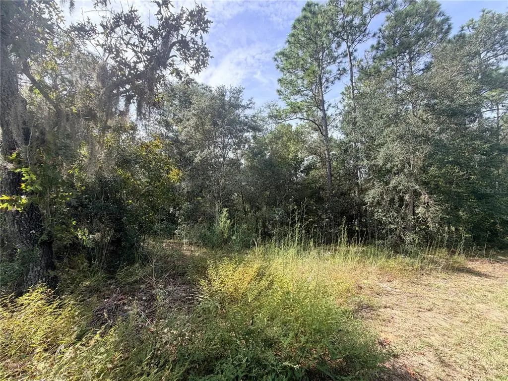 5066 E Anna Jo Drive, INVERNESS