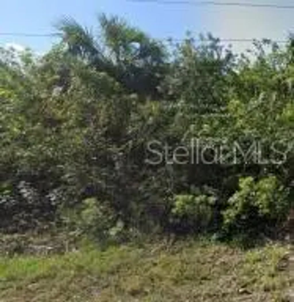 886 Bitlis Street Sw, PALM BAY