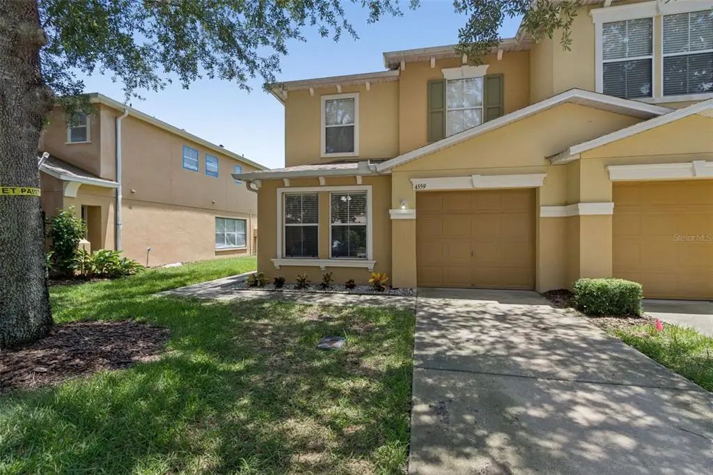 4559 Limerick Drive, TAMPA