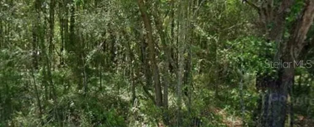 20550 Marine Boulevard, DUNNELLON