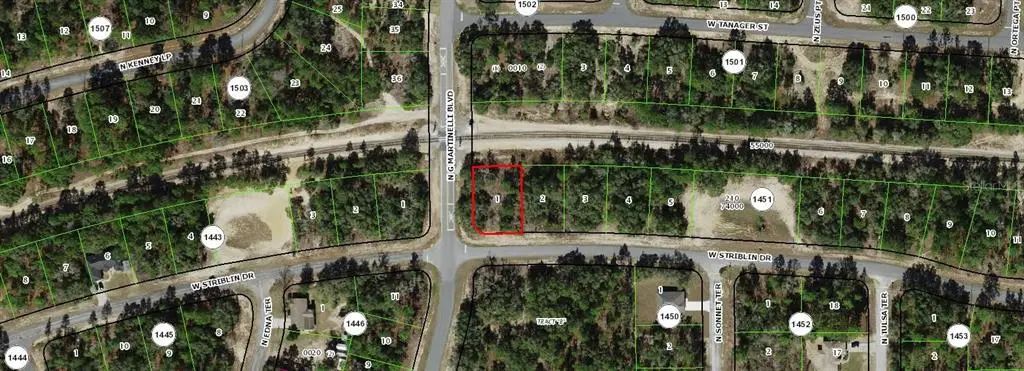 11241 N G Martinelli Boulevard, CITRUS SPRINGS
