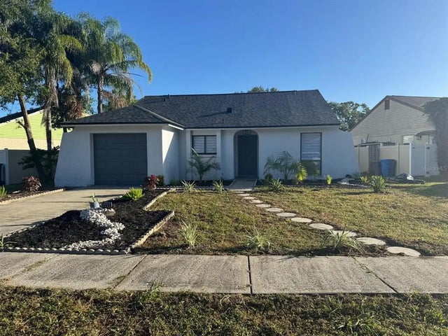 12329 Witheridge Drive, TAMPA
