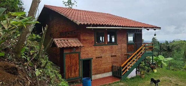 123 Hearts Of Palm Plantation, COTACACHI