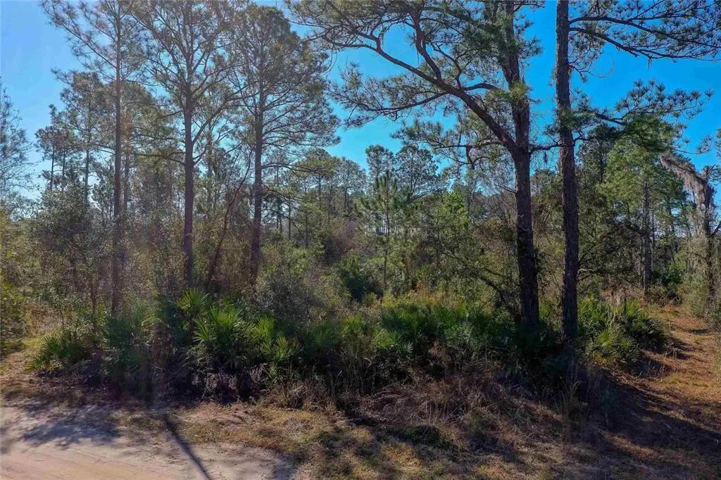 33150 Forest Ridge Road, DELAND