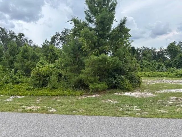 9049 S Bay Dr, HAINES CITY