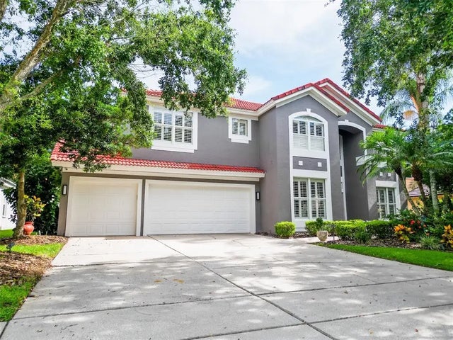 18142 Regents Square Drive, TAMPA