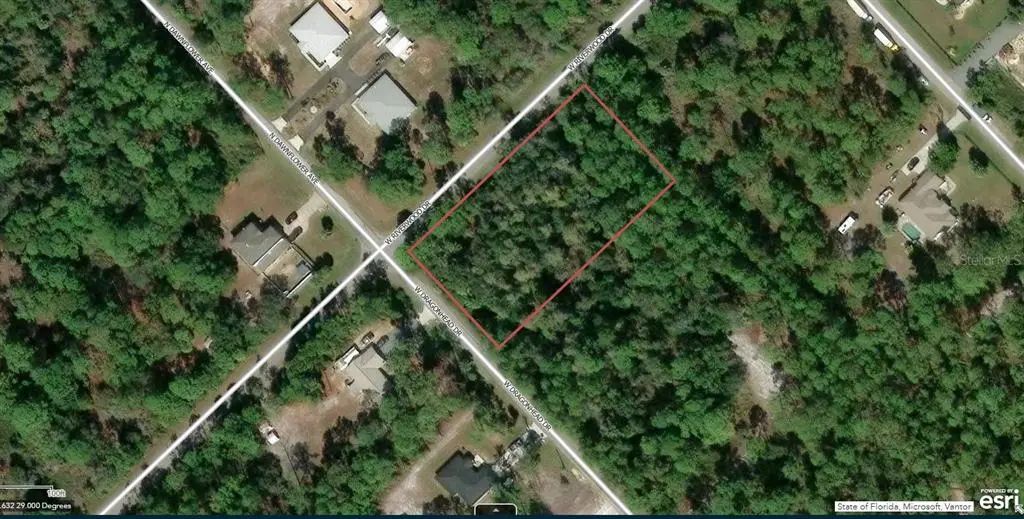 11645 W Dragonhead Drive, CRYSTAL RIVER