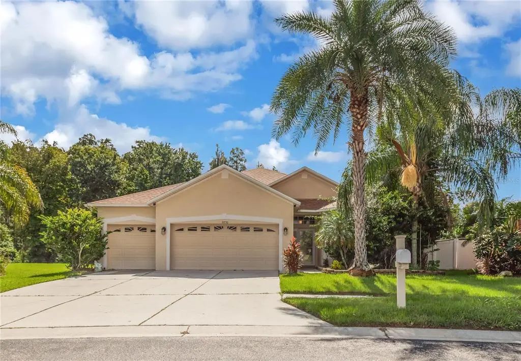 31230 Alchester Drive, WESLEY CHAPEL