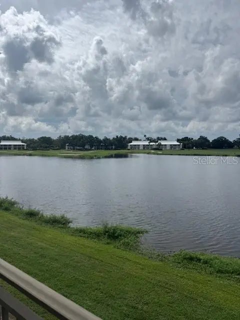 29230 Bay Hollow Drive N 3282, WESLEY CHAPEL