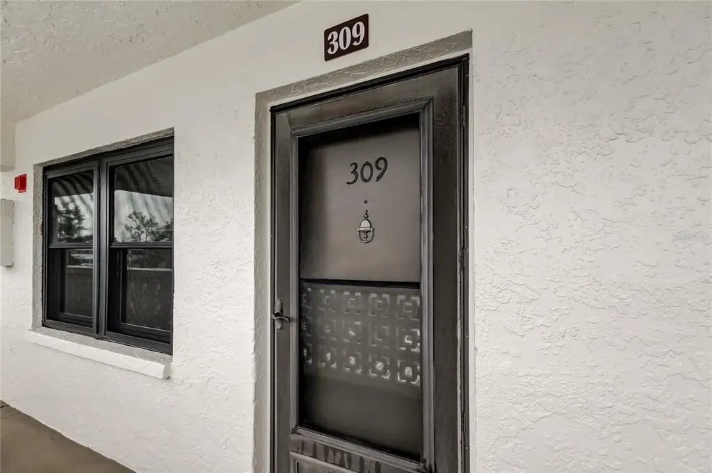 4910 Bay Street Ne 309, ST PETERSBURG