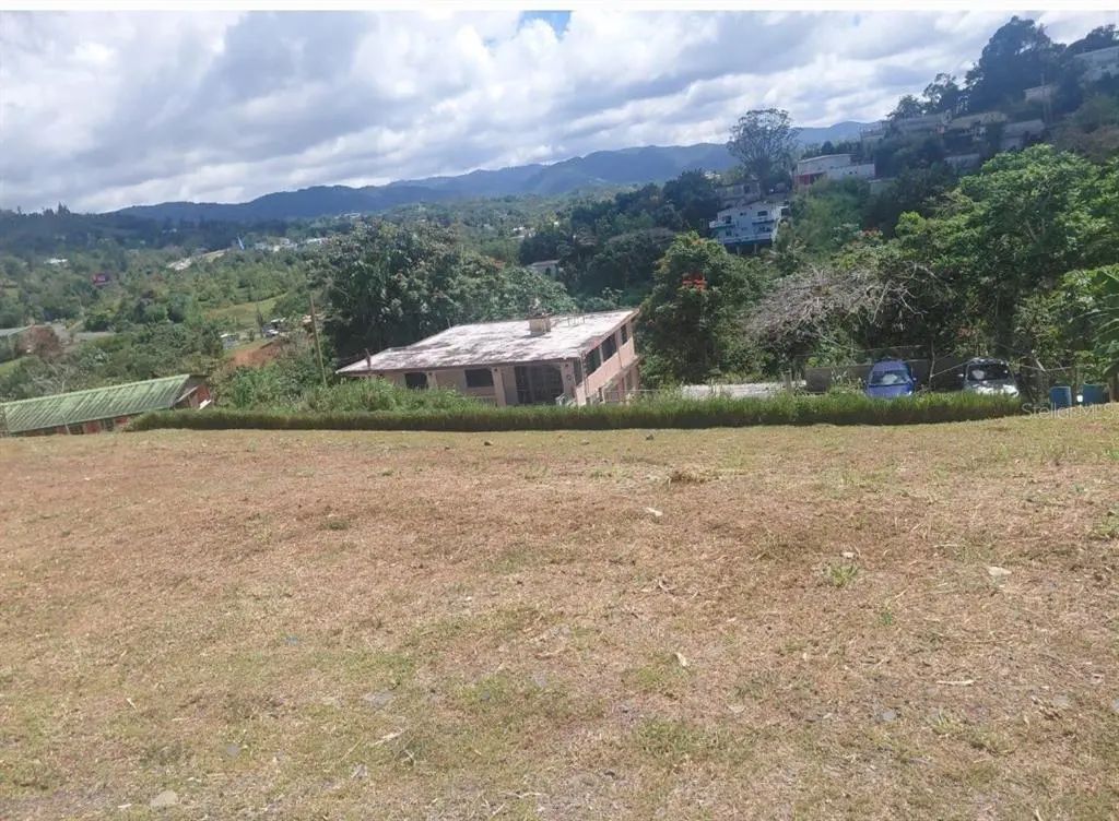 Pr 1 Km 48.1 Bo Beatriz, CAGUAS