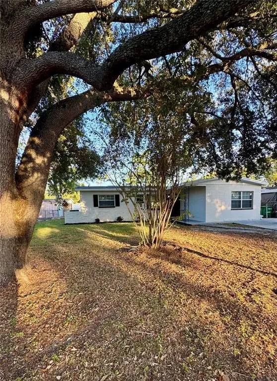 10623 N 25th Street, TAMPA