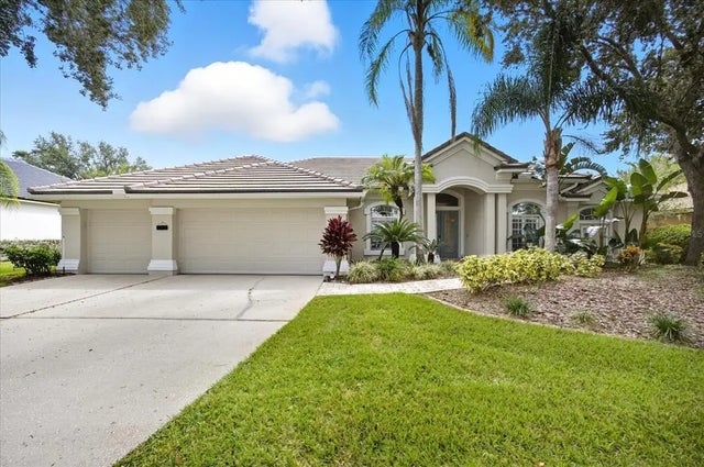 17923 Arbor Greene Drive, TAMPA