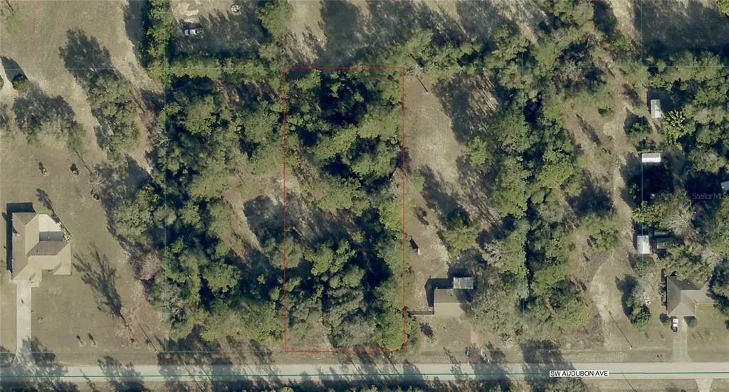 Tbd Sw Audubon Avenue, DUNNELLON