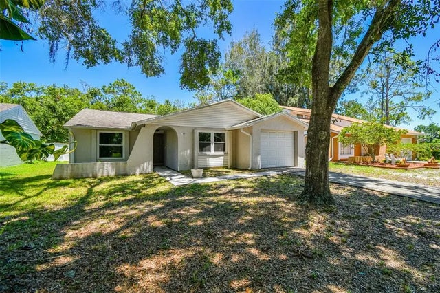 16138 Manorwood Circle, TAMPA