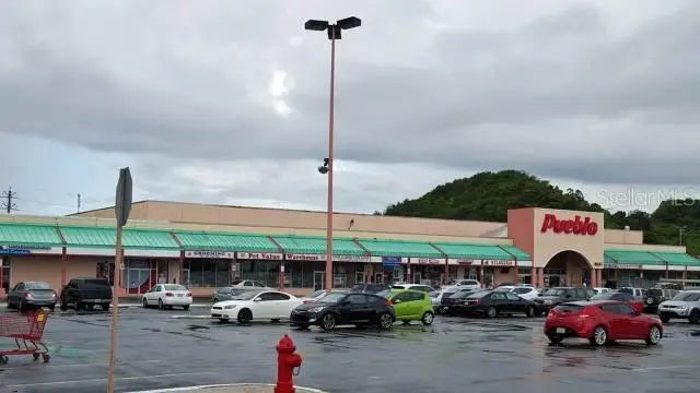 Photo of Listing #PR0000347