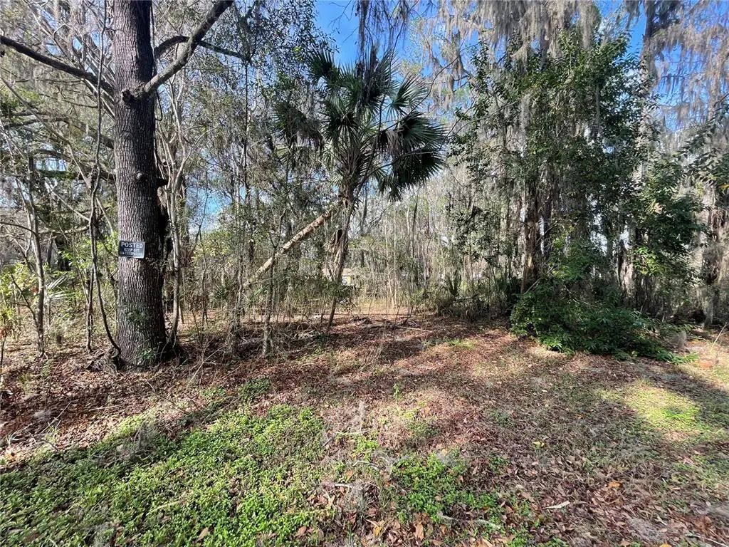 Tbd Se 40th Loop, OCALA