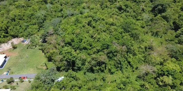 Carr. 461 Km 3.0 Int Bo Corrales, AGUADILLA