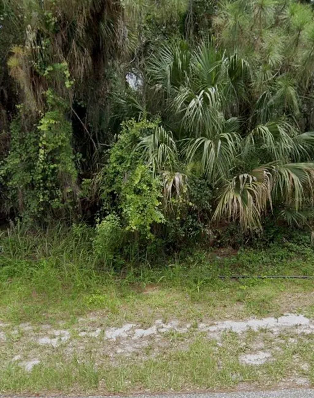 Channing Avenue, NORTH PORT