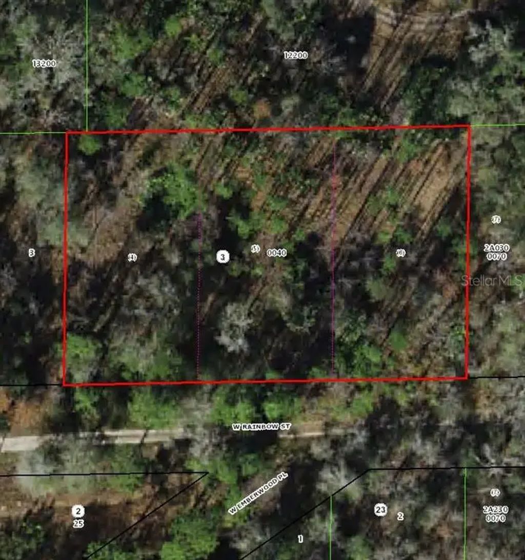 7265 W Rainbow Street, DUNNELLON