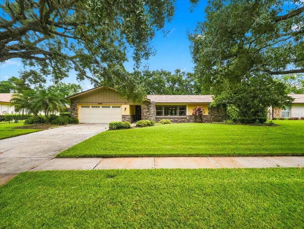 13903 Middle Park Drive, TAMPA