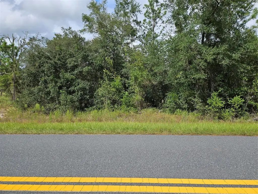 Tbd Sw Beach Boulevard, DUNNELLON
