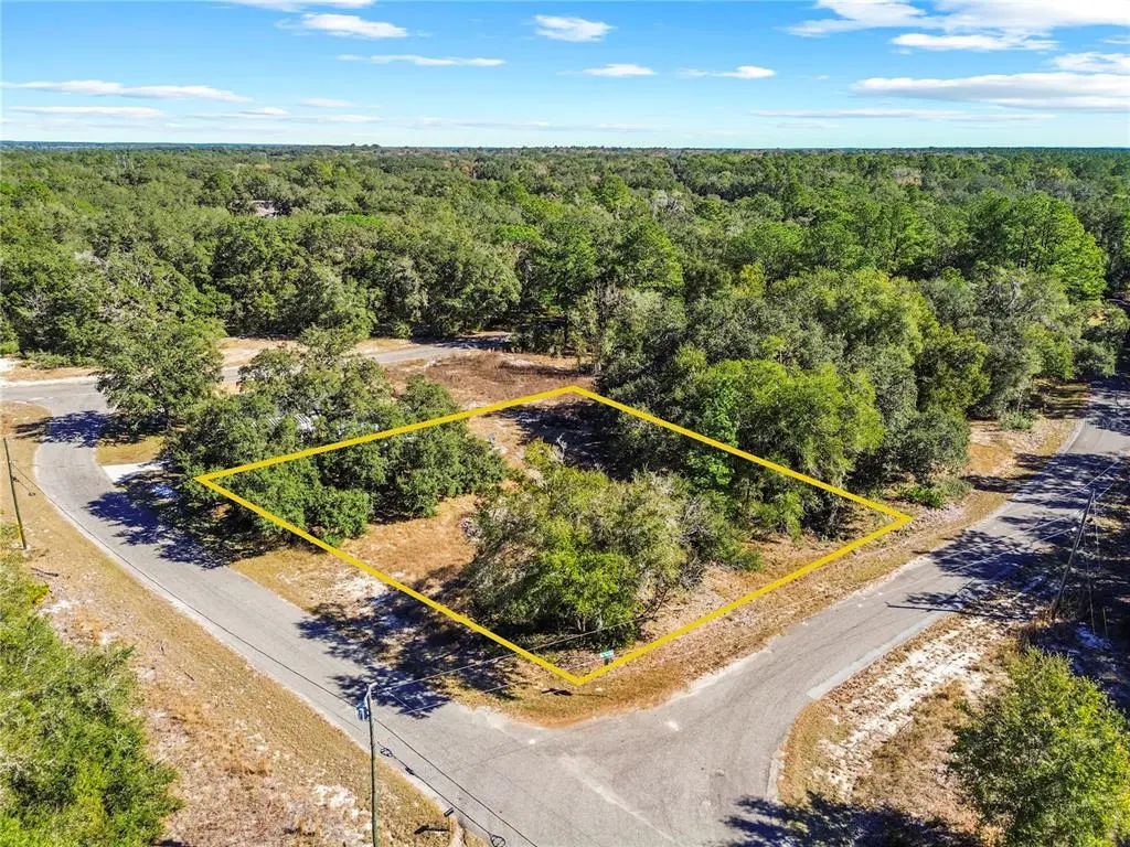 Guava Terrace Place & Bay Place Run, OCKLAWAHA