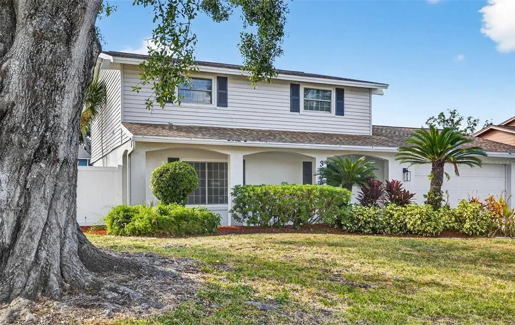 3909 Braesgate Lane, TAMPA