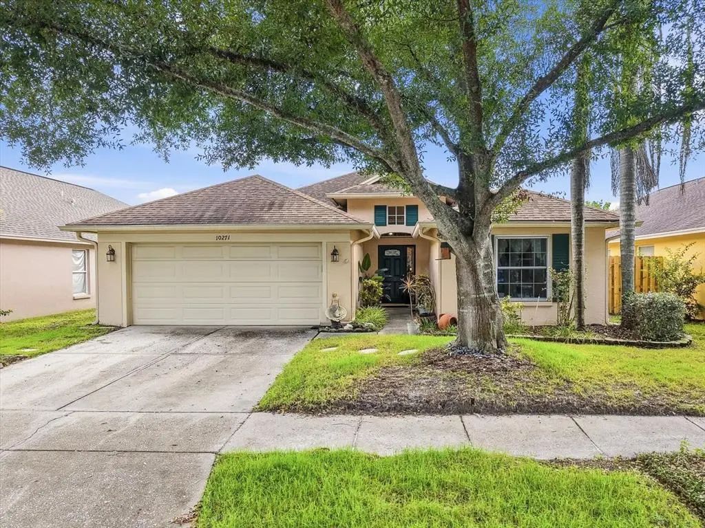 10271 Oasis Palm Dr, TAMPA
