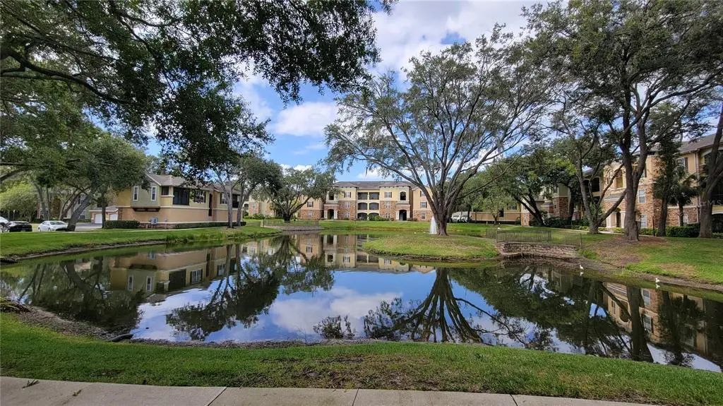 10121 Courtney Palms Boulevard 201, TAMPA