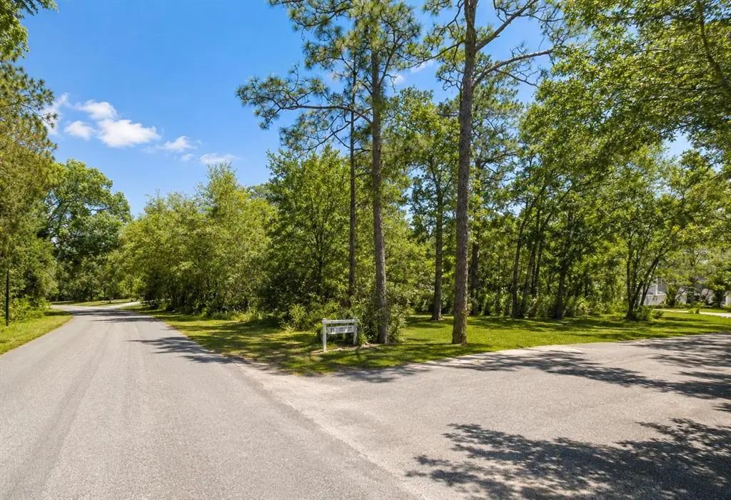 Seagrape Street, HOMOSASSA