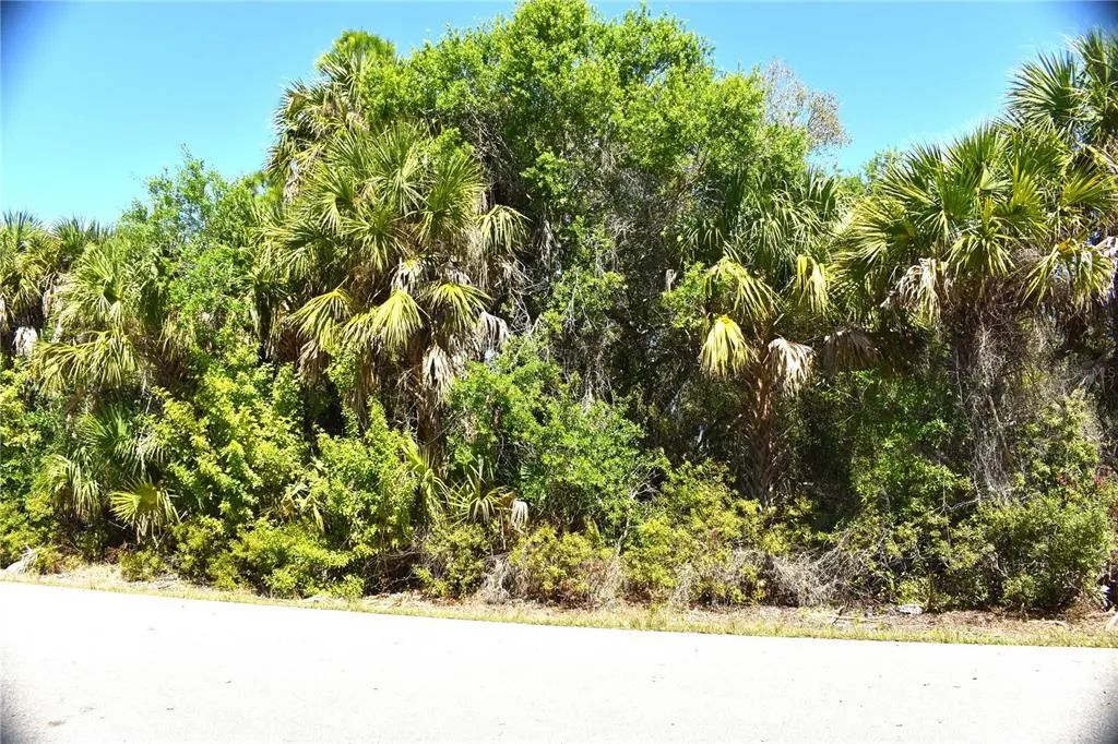 13358 Drummond Avenue, PORT CHARLOTTE