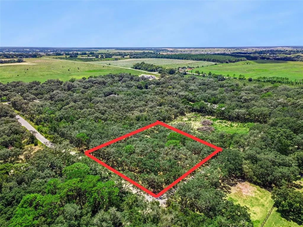 17206 Red Bird Road, WINTER GARDEN