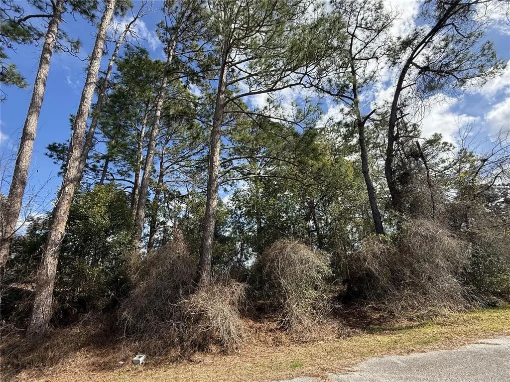 Tbd Se 190th Avenue, SILVER SPRINGS