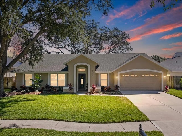5311 Windbrush Drive, TAMPA