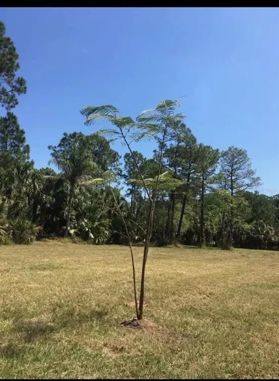 2370 Thacker Tr, KISSIMMEE