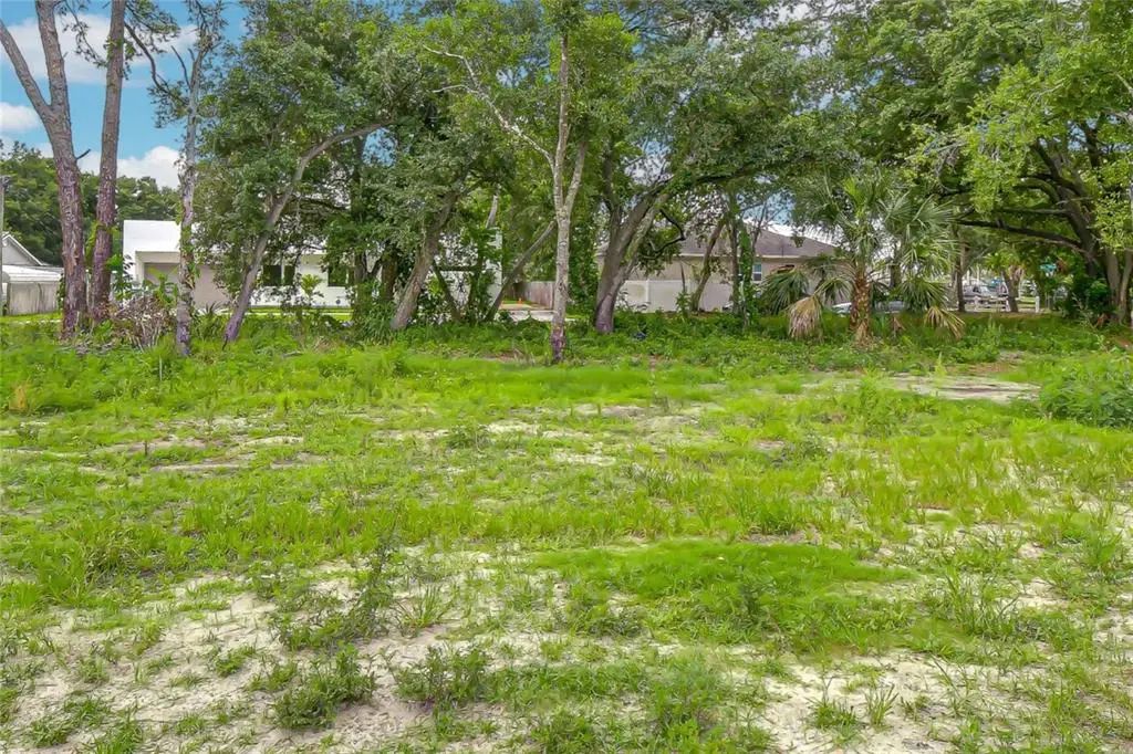 6806 New York Drive Lot B, TAMPA