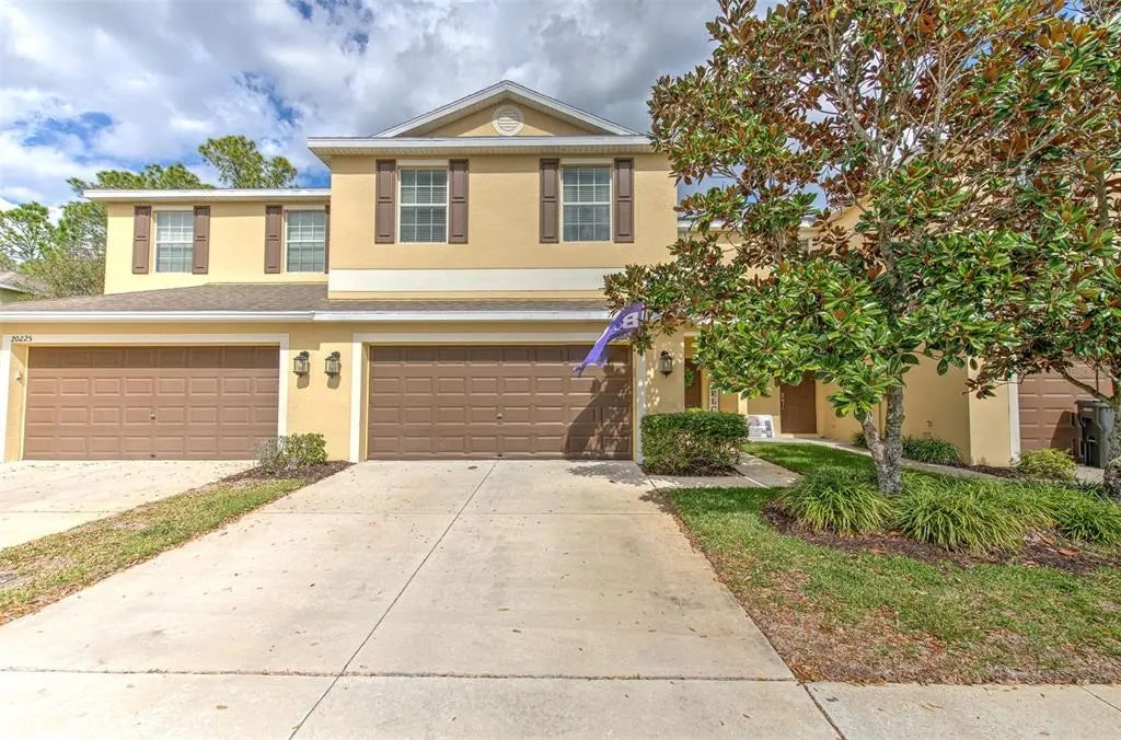 20223 Indian Rosewood Drive, TAMPA
