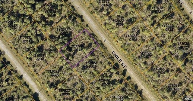 Photo of Listing #A4589649