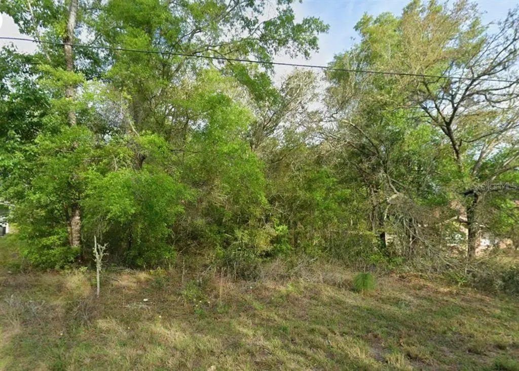 8280 N Galena Avenue, Dunnellon