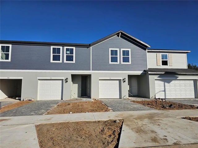 717 Spartina Way, LADY LAKE