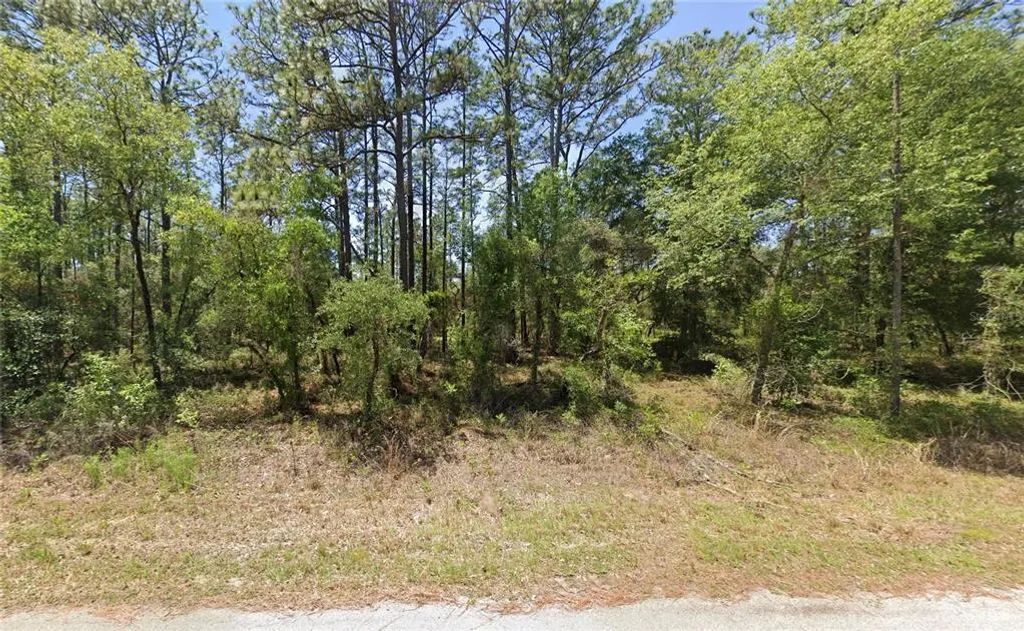 1110 Nw Redwood Drive, DUNNELLON
