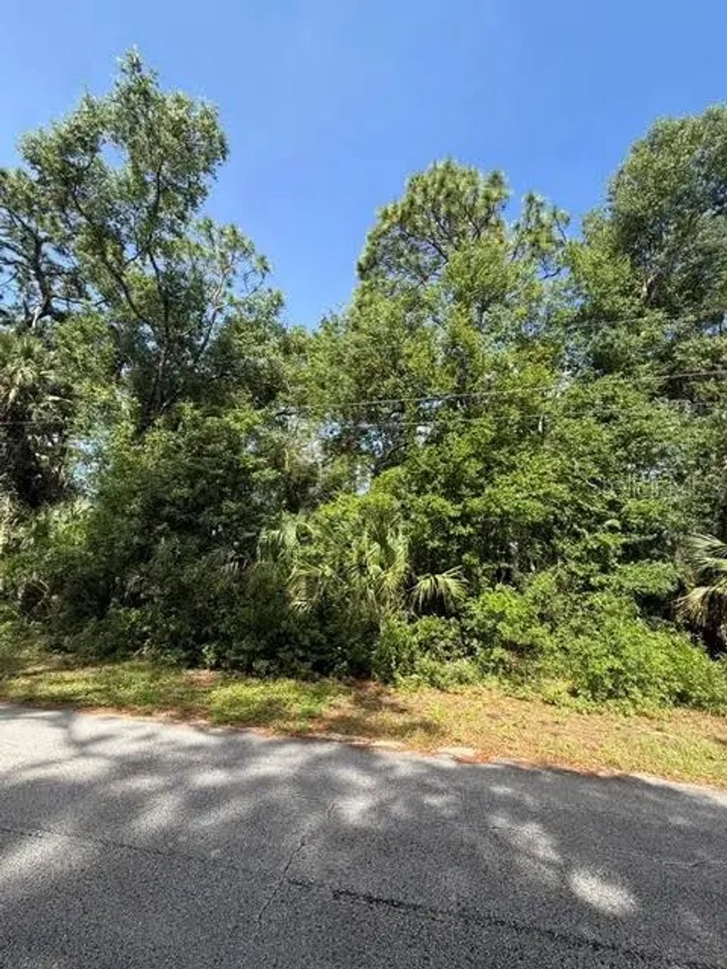 444 N Hourglass Terrace, Crystal River