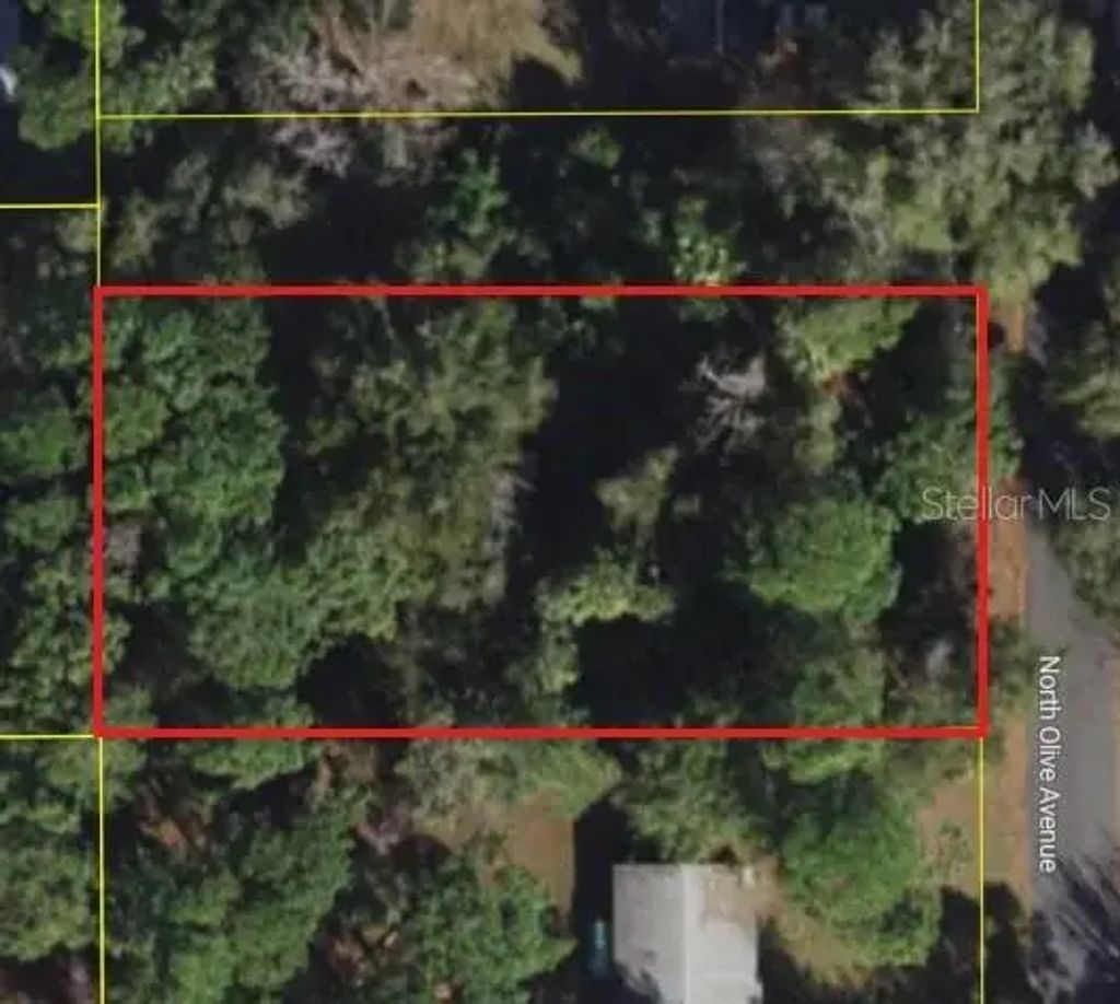 3408 N Olive Avenue, CRYSTAL RIVER