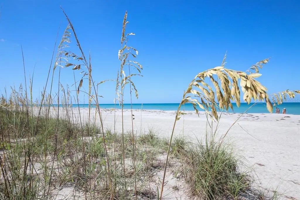 Gulf Shores Realty: 50 859aba88f9e6f4541d745a19165ab38f l
