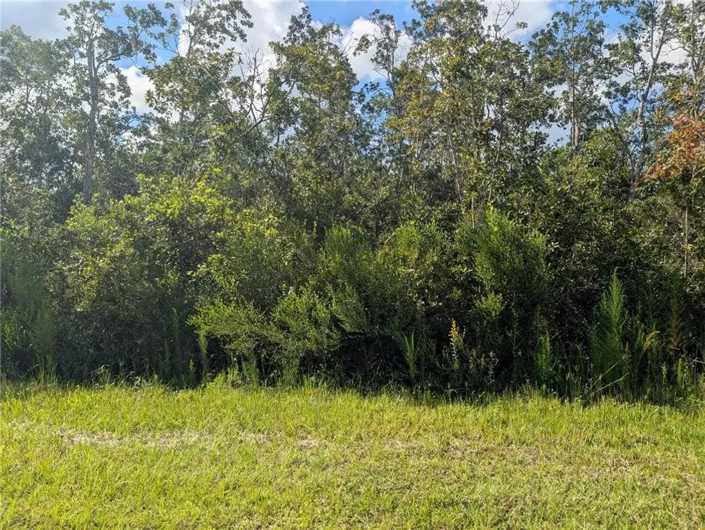 313 Bougainville Dr, INDIAN LAKE ESTATES